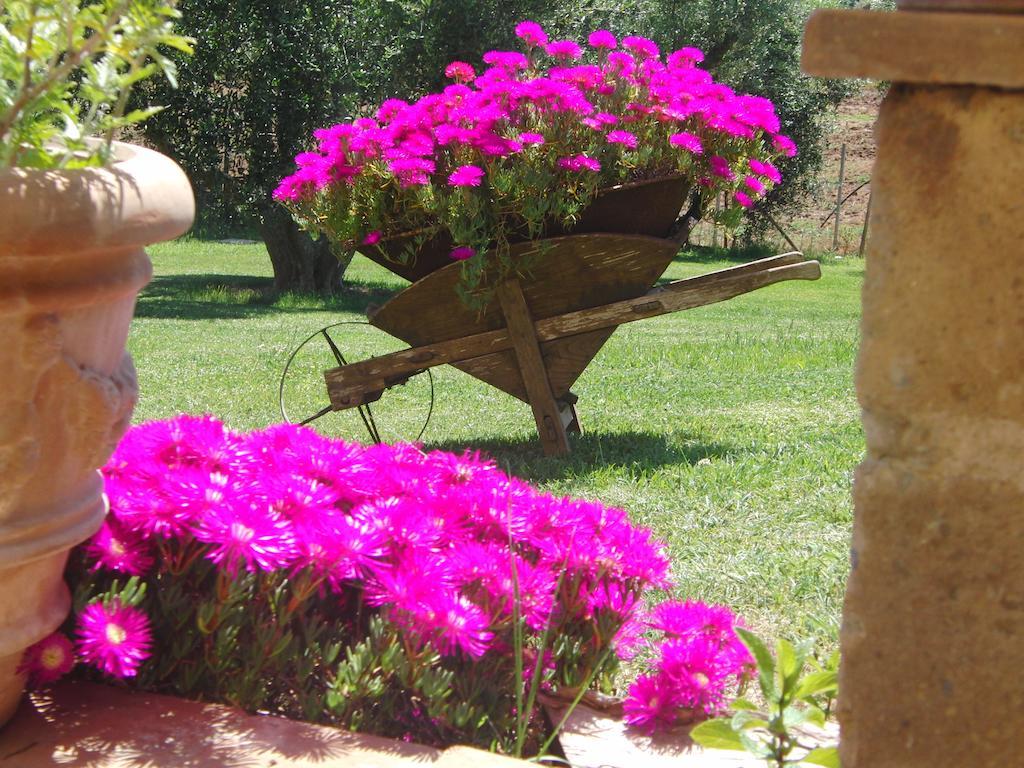 Locanda Degli Etruschi Montalto di Castro Δωμάτιο φωτογραφία