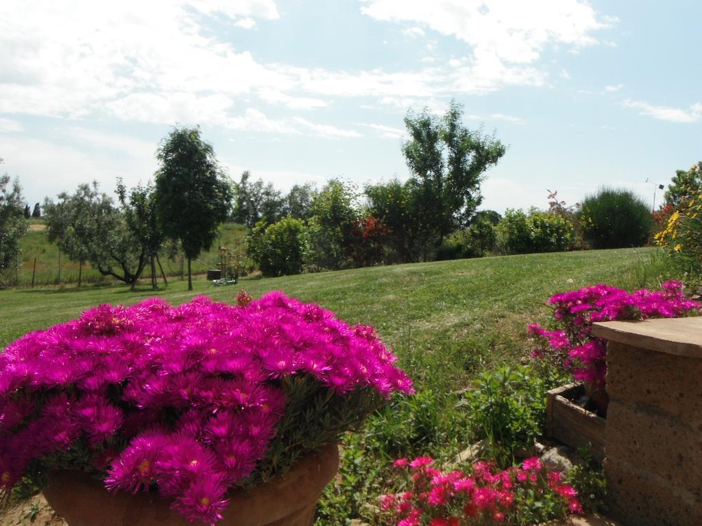 Locanda Degli Etruschi Montalto di Castro Εξωτερικό φωτογραφία