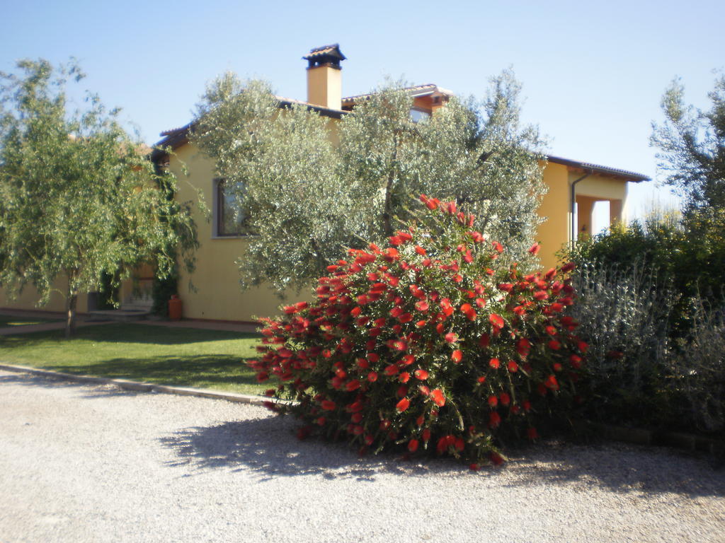 Locanda Degli Etruschi Montalto di Castro Εξωτερικό φωτογραφία