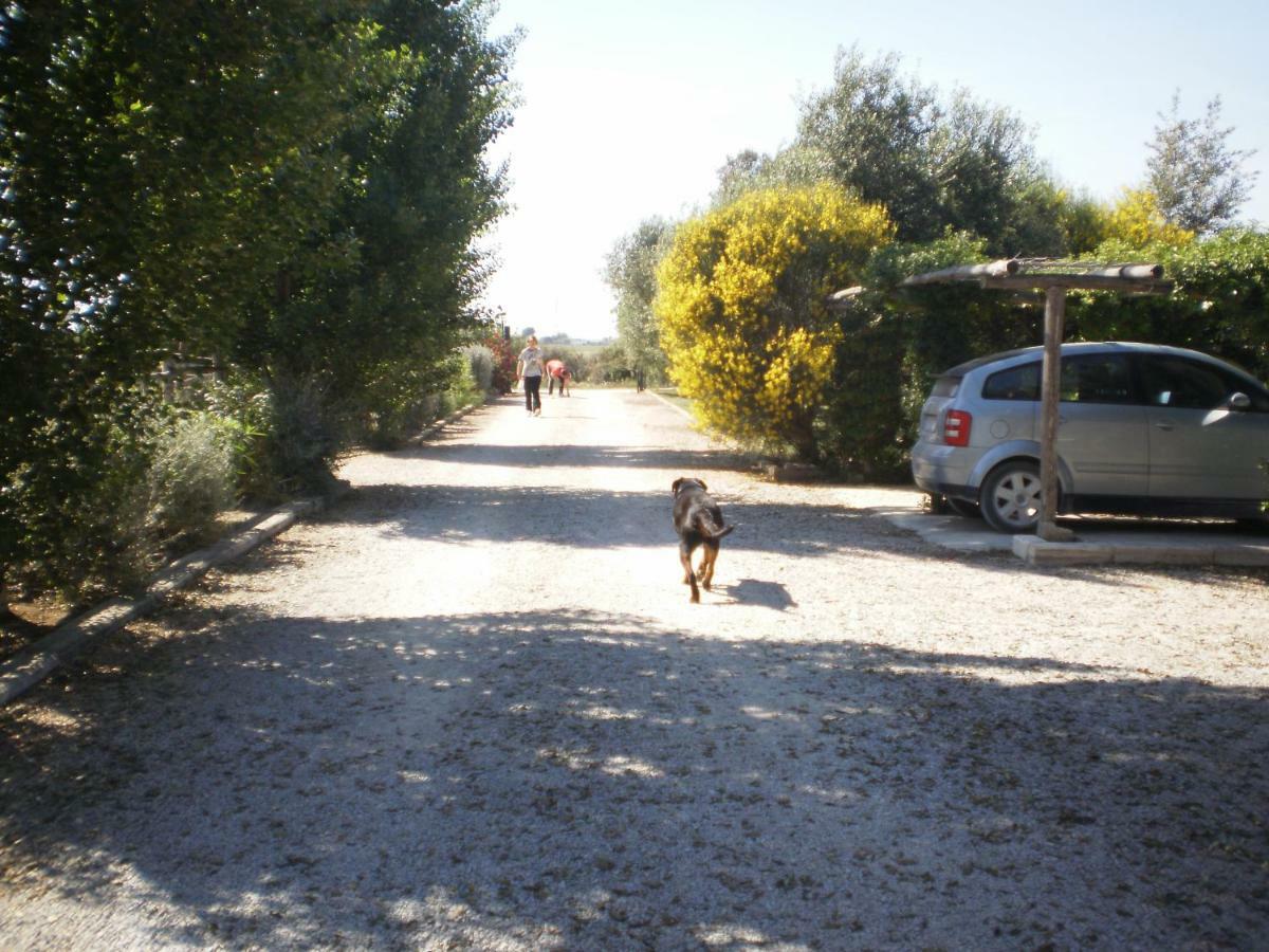 Locanda Degli Etruschi Montalto di Castro Εξωτερικό φωτογραφία